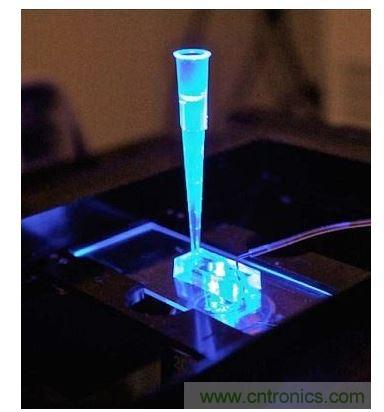 加州柏克萊大學所開發的“心臟單芯片”用以放置從成人干細胞產出的人類心臟組織,該系統有一天可望替代實驗動物應用于藥物安全篩檢